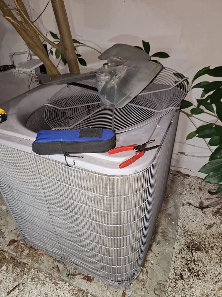 Slide of NGO Quality Services