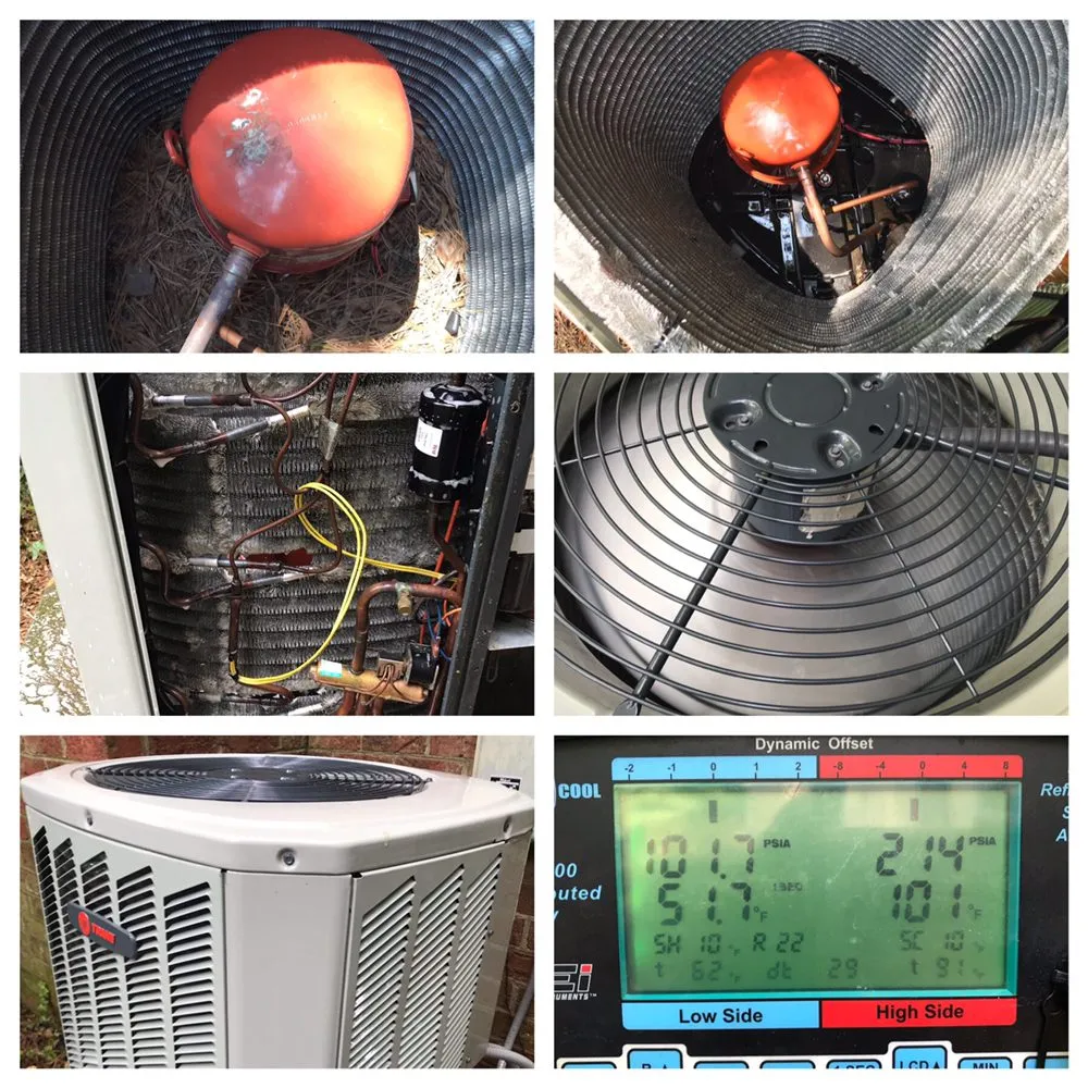 Slide of Nguyen Services