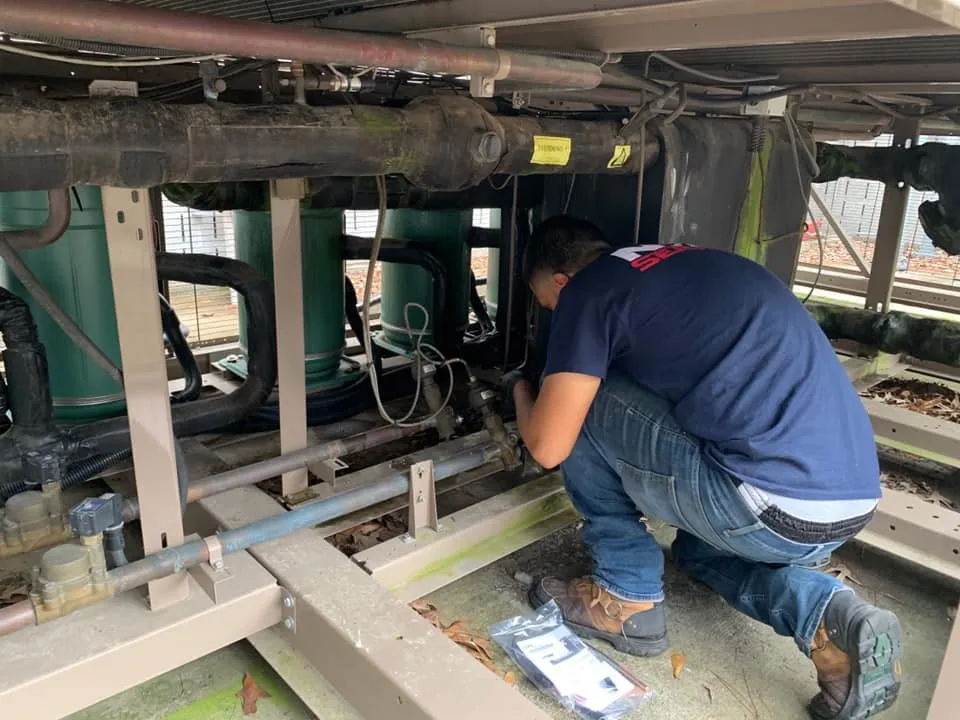 Slide of NHR Services