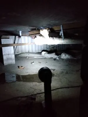 Niagara Drain and HVAC Logo