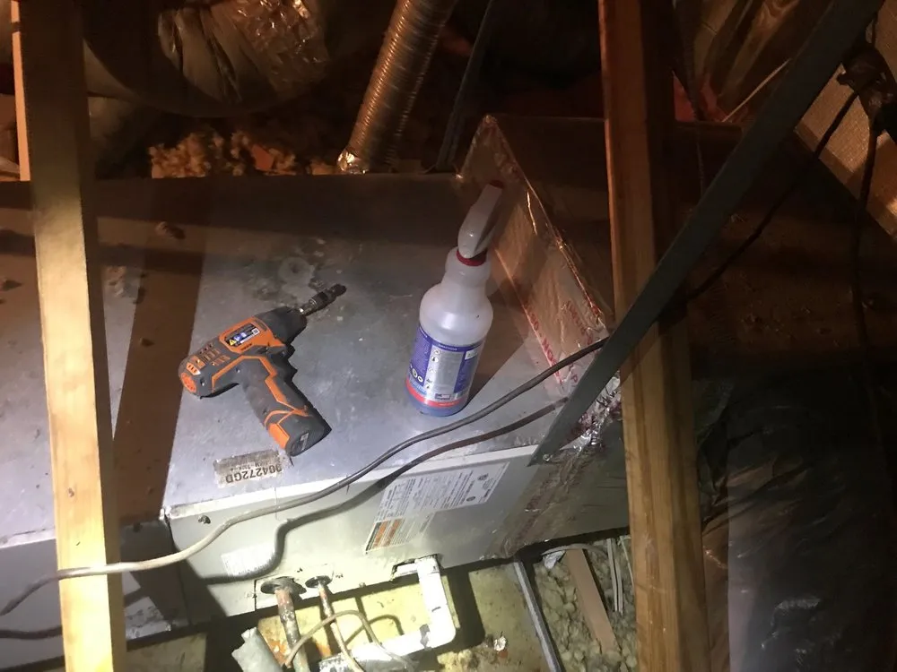 Slide of Nice Guy Mechanical