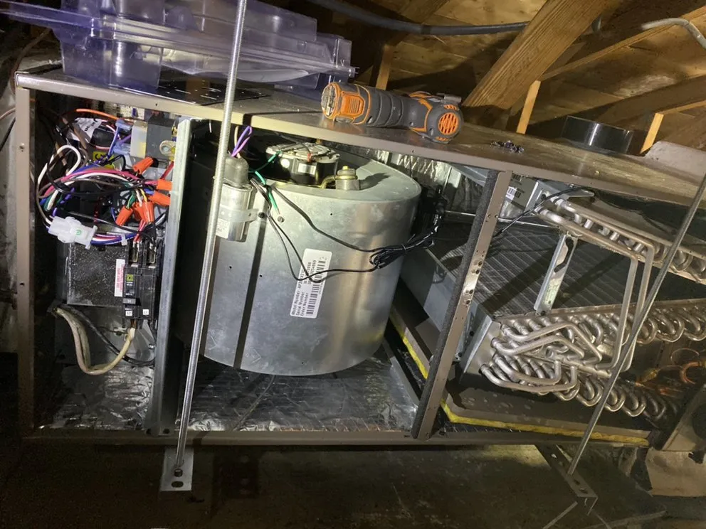 Slide of Nice Guy Mechanical