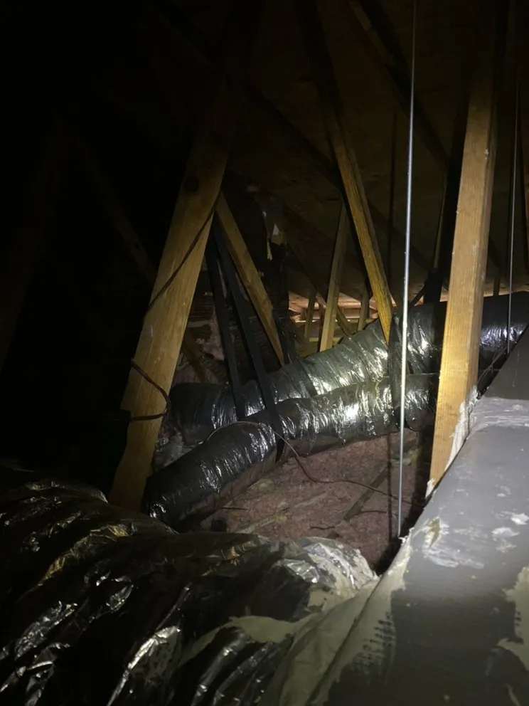 Slide of Nice Guy Mechanical