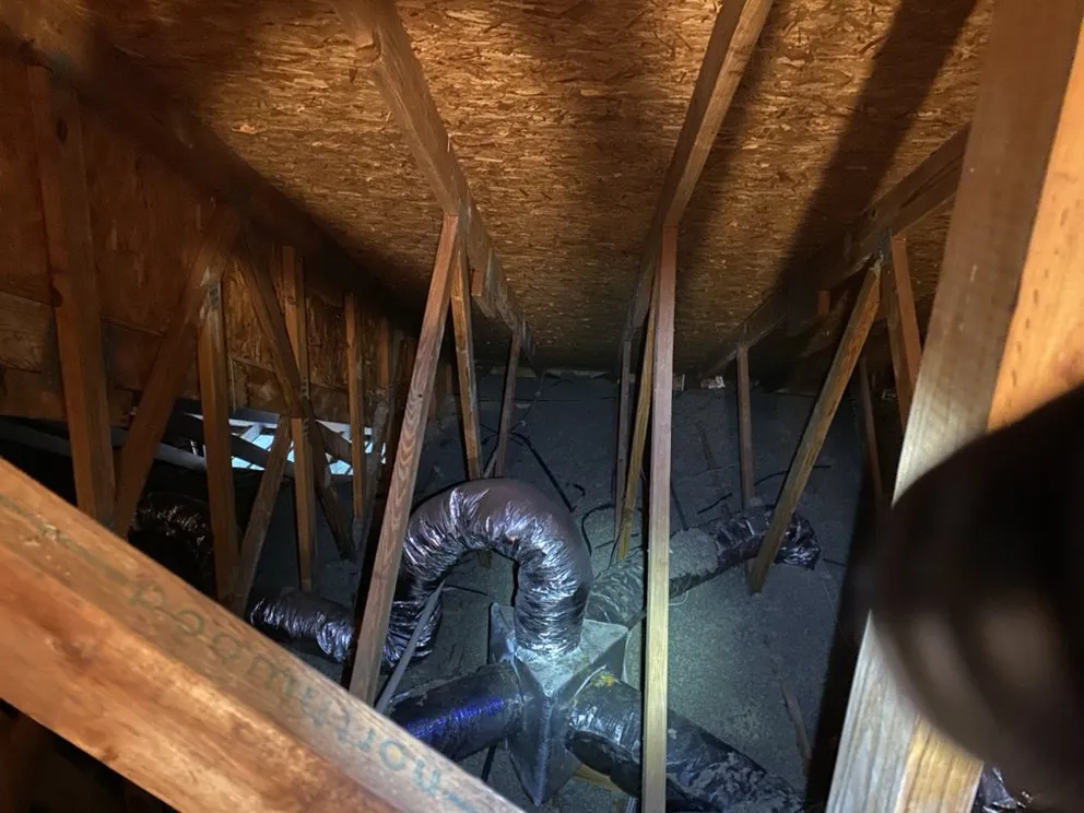 Slide of Nice Guy Mechanical