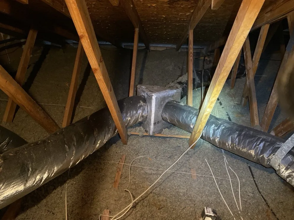 Slide of Nice Guy Mechanical