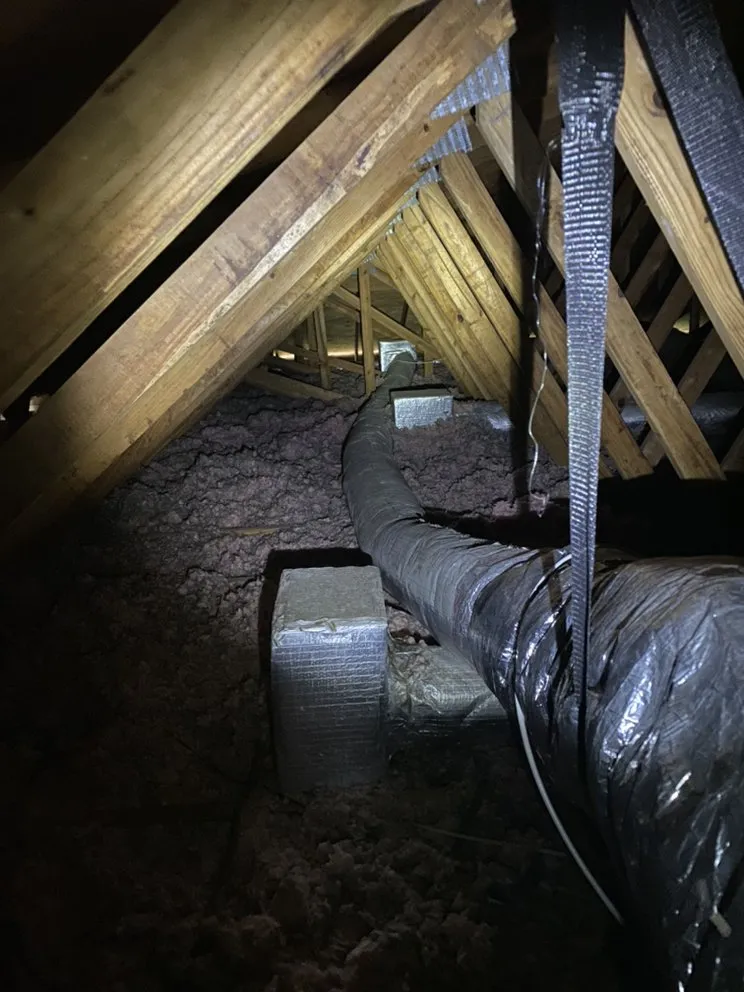 Slide of Nice Guy Mechanical