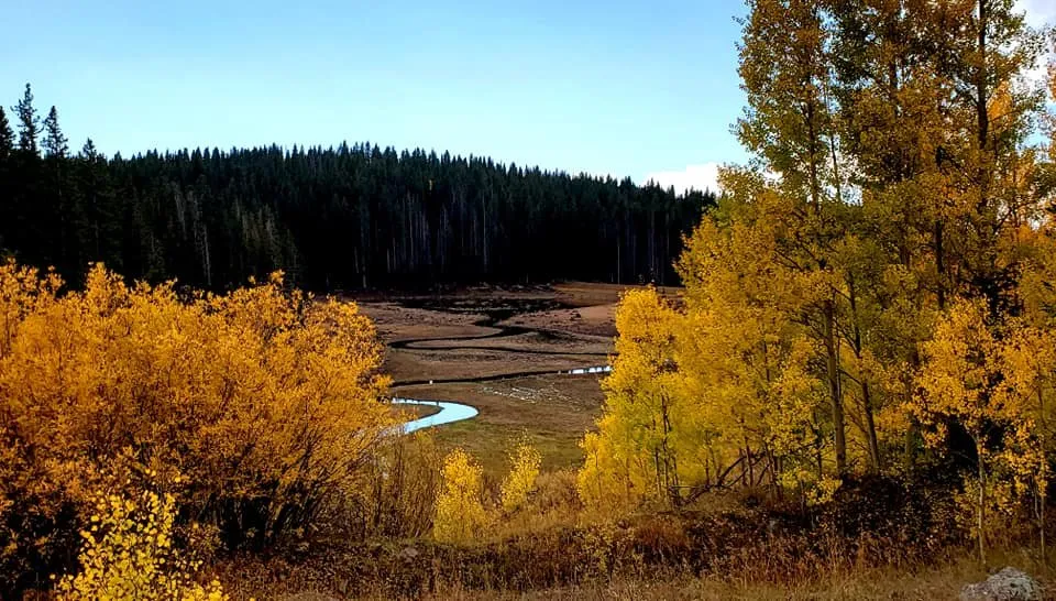 Slide of Nichols Air Conditioning Specialists
