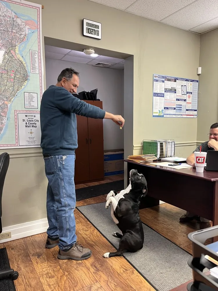 Top-rated heating repair experts serving St. Louis, MO - Nick Dolinic Heating & Cooling