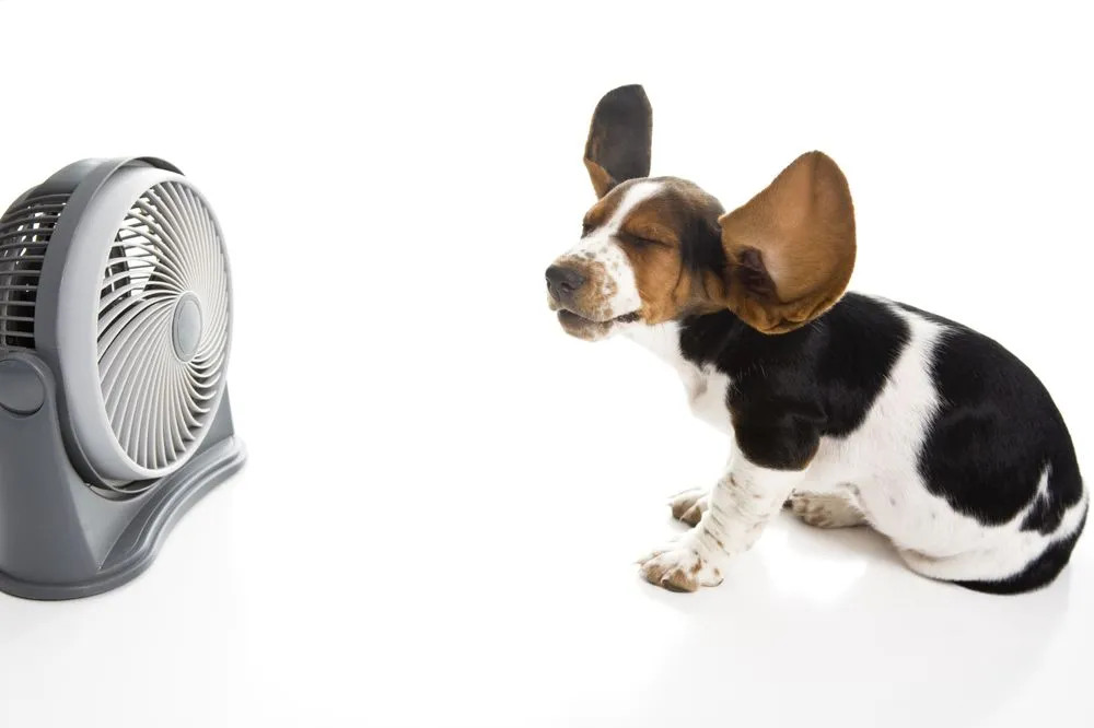 Slide of No Sweat Air Conditioning