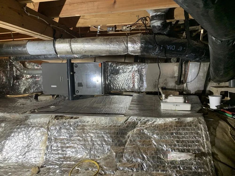 Slide of Noah's Ark Air