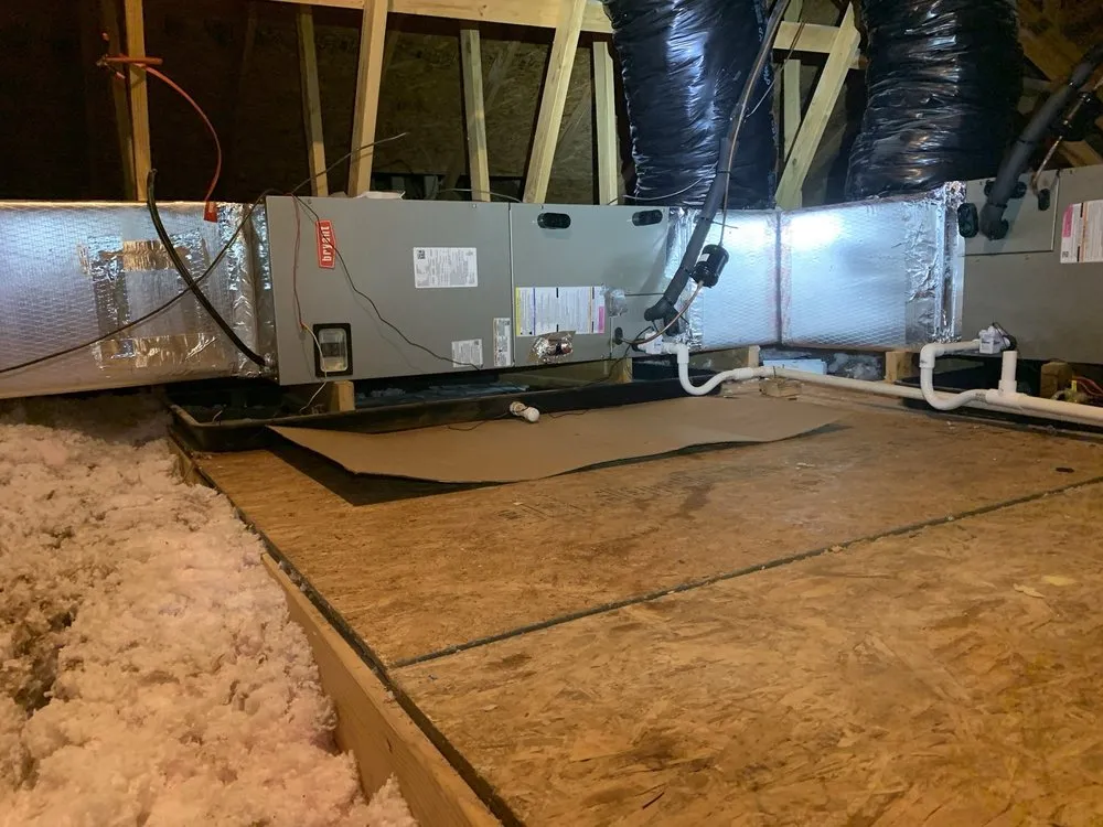 Slide of Noah's Ark Air