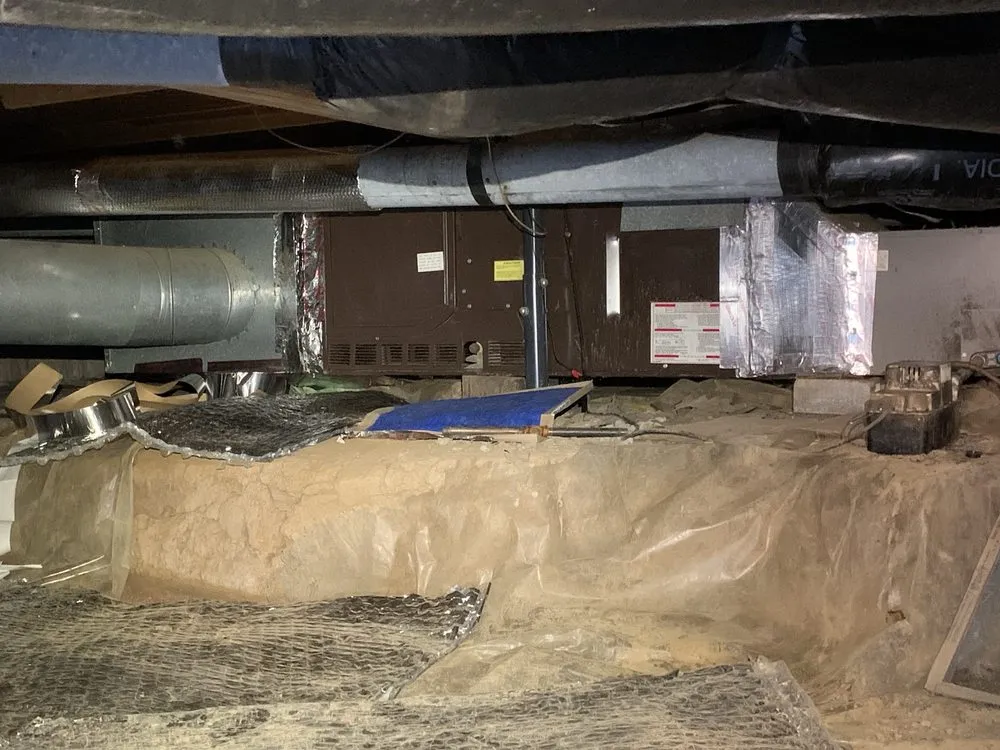 Slide of Noah's Ark Air