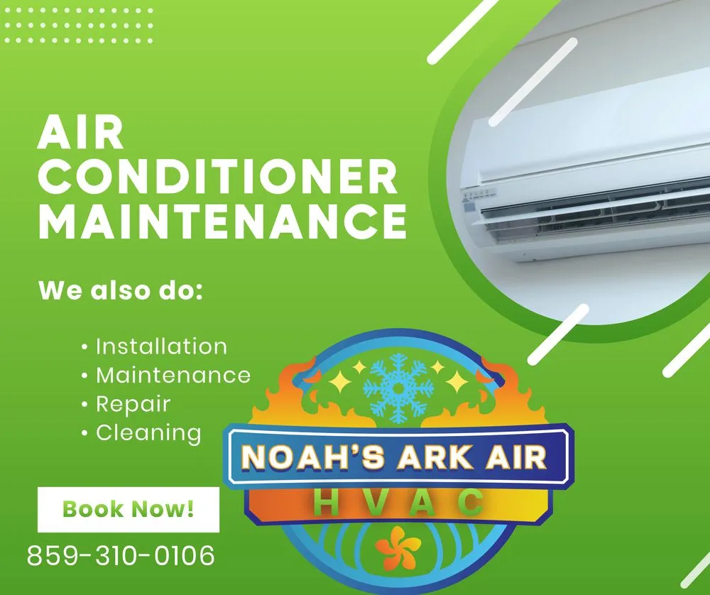 Slide of Noah's Ark Air