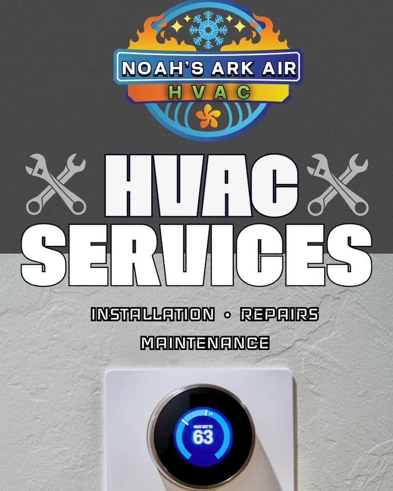 Slide of Noah's Ark Air