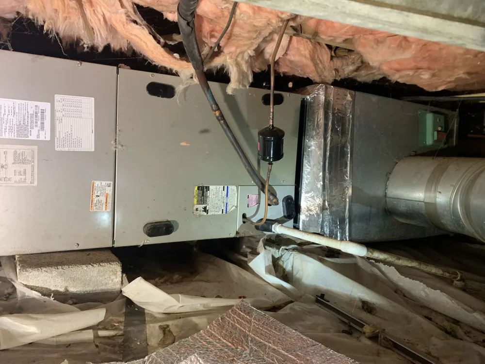 Slide of Noah's Ark Air