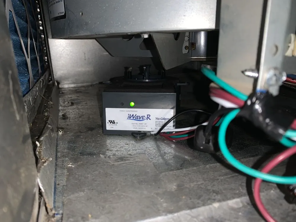 Slide of Noah's Ark Air