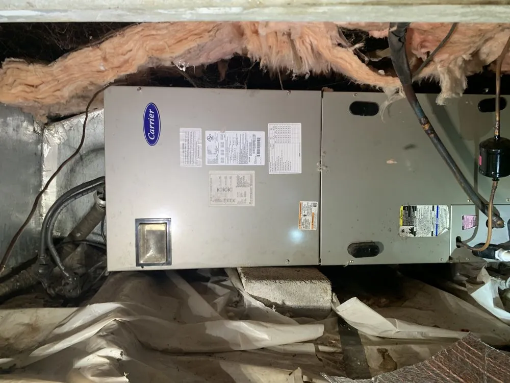 Slide of Noah's Ark Air