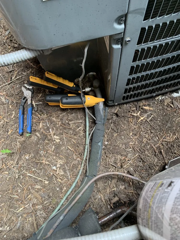 Slide of Noah's Ark Air