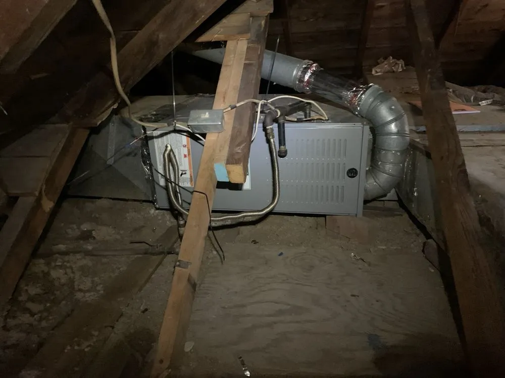 Slide of Noah's Ark Air