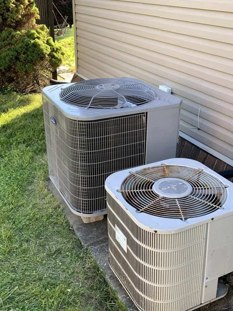 Slide of Noah's Ark Air