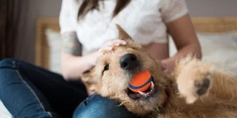 Slide of Noakes Heating Air Conditioning & Refrigeration