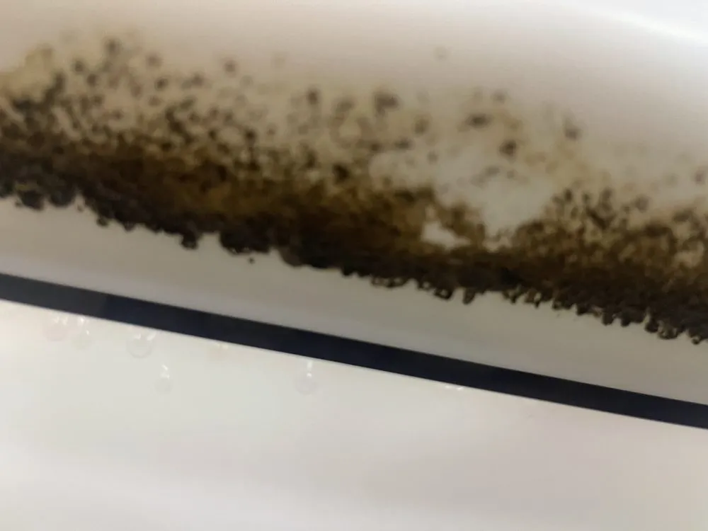 Slide of Nor Tex Restaurant Solutions