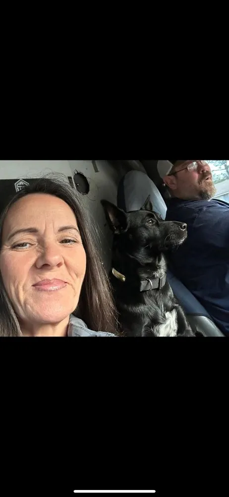 Slide of North Pulaski Heat & Air