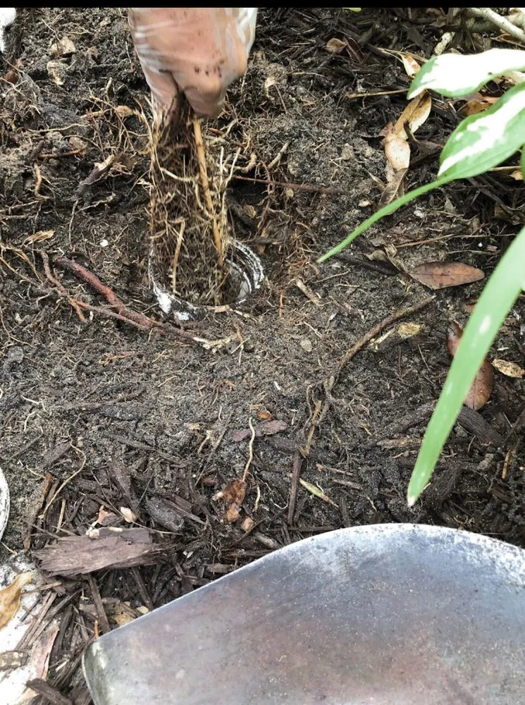 Slide of Northampton Plumbing & Heating