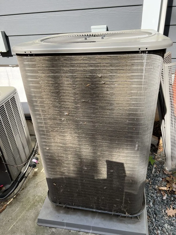 Slide of Northeast Development