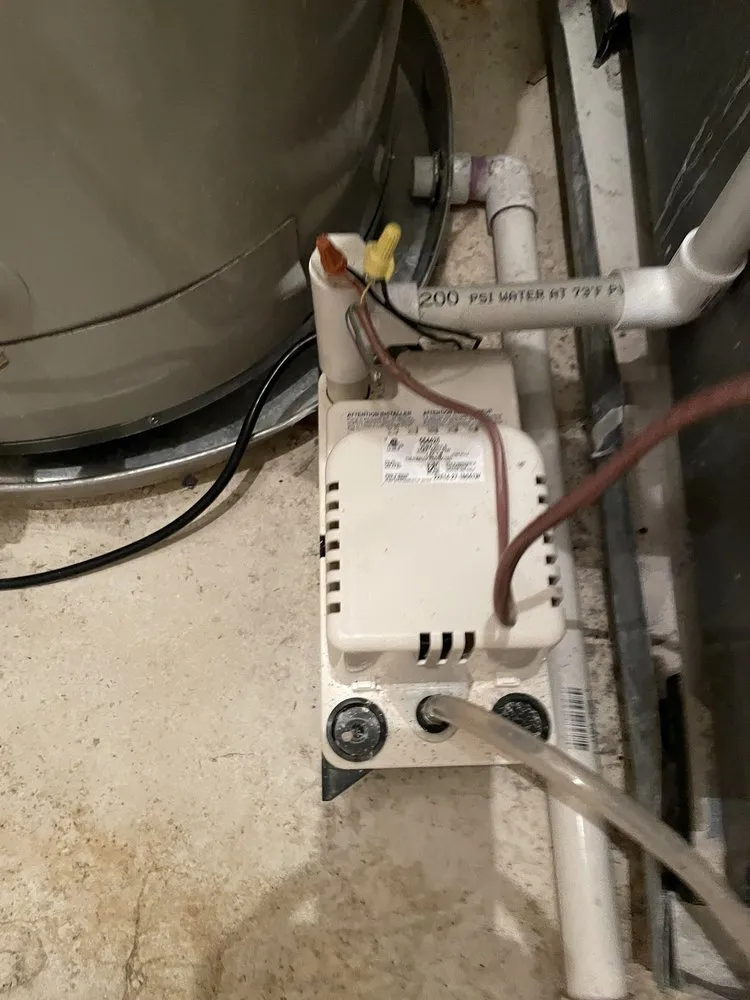 Slide of Northeast Development