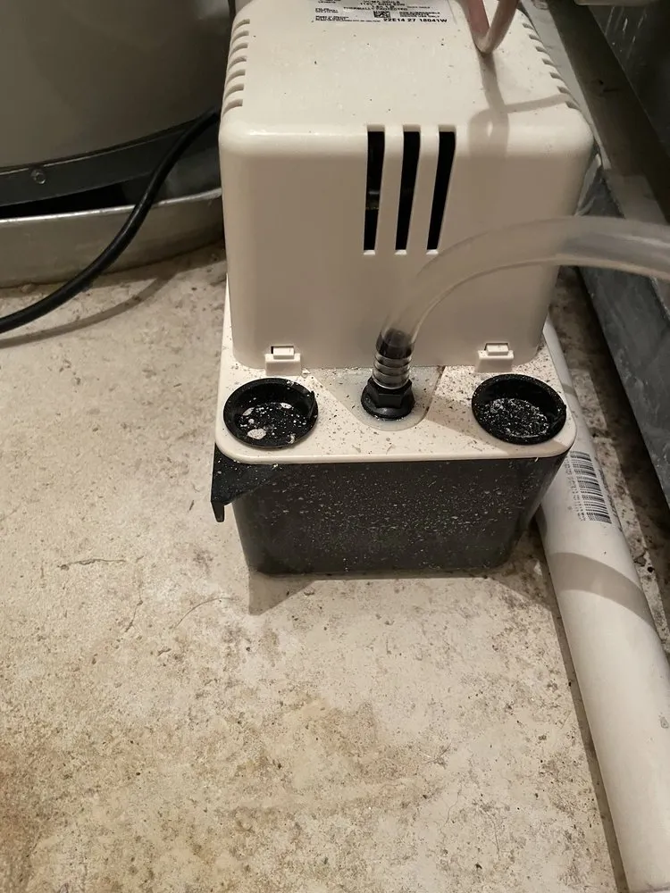 Slide of Northeast Development