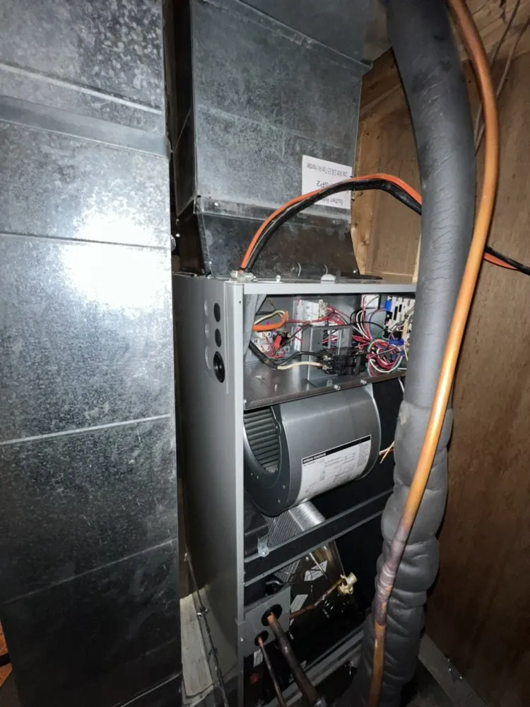 Slide of Northeast Development