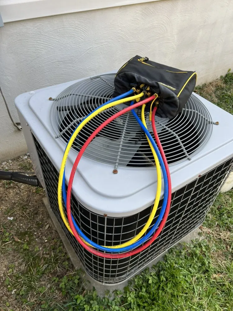 Slide of Northeast Development