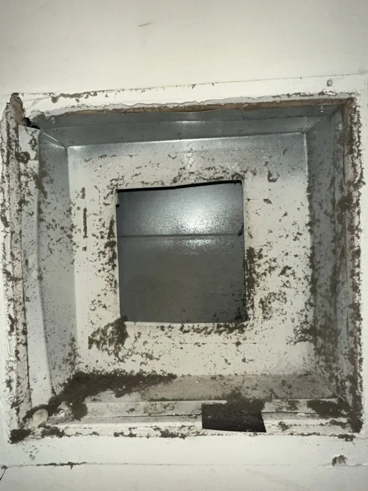 Slide of Northeast Development