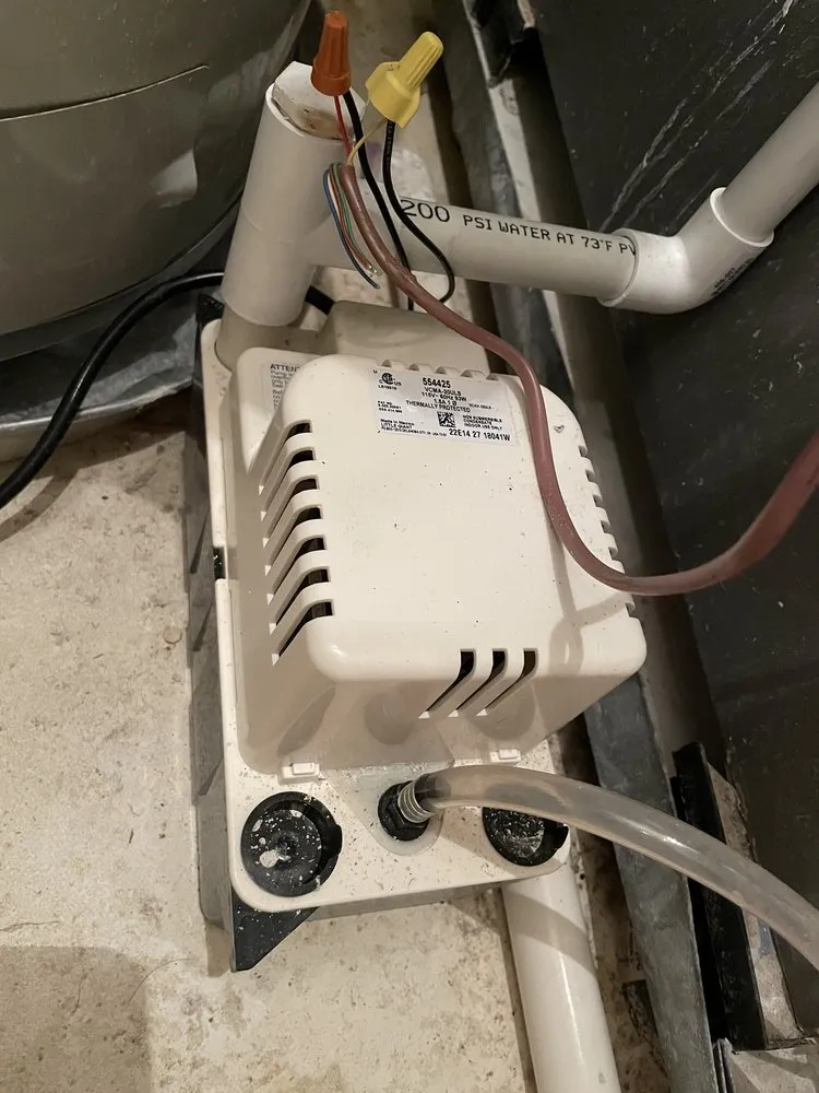 Slide of Northeast Development