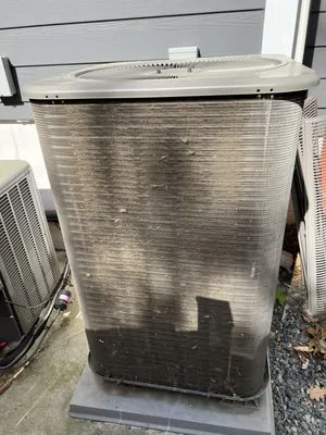 Northeast Development Logo