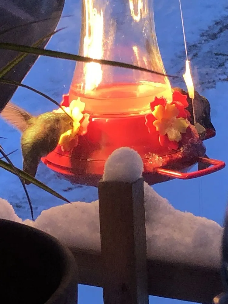 Slide of Northend Home Heating