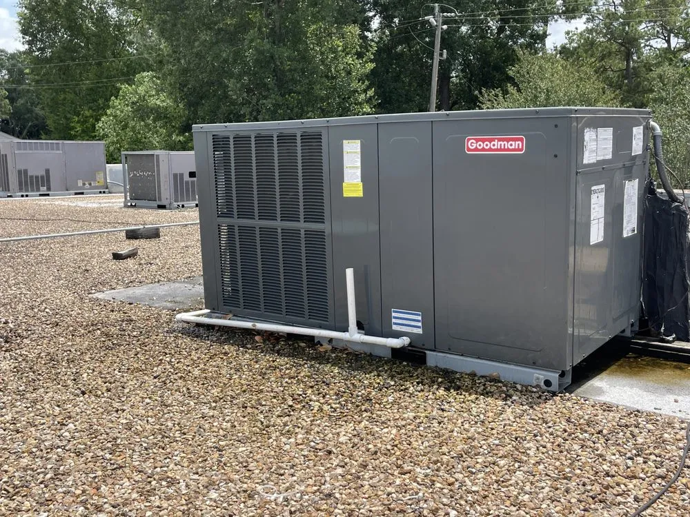 Slide of Northern Cold