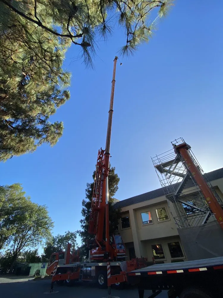 Slide of Northern Service Inc