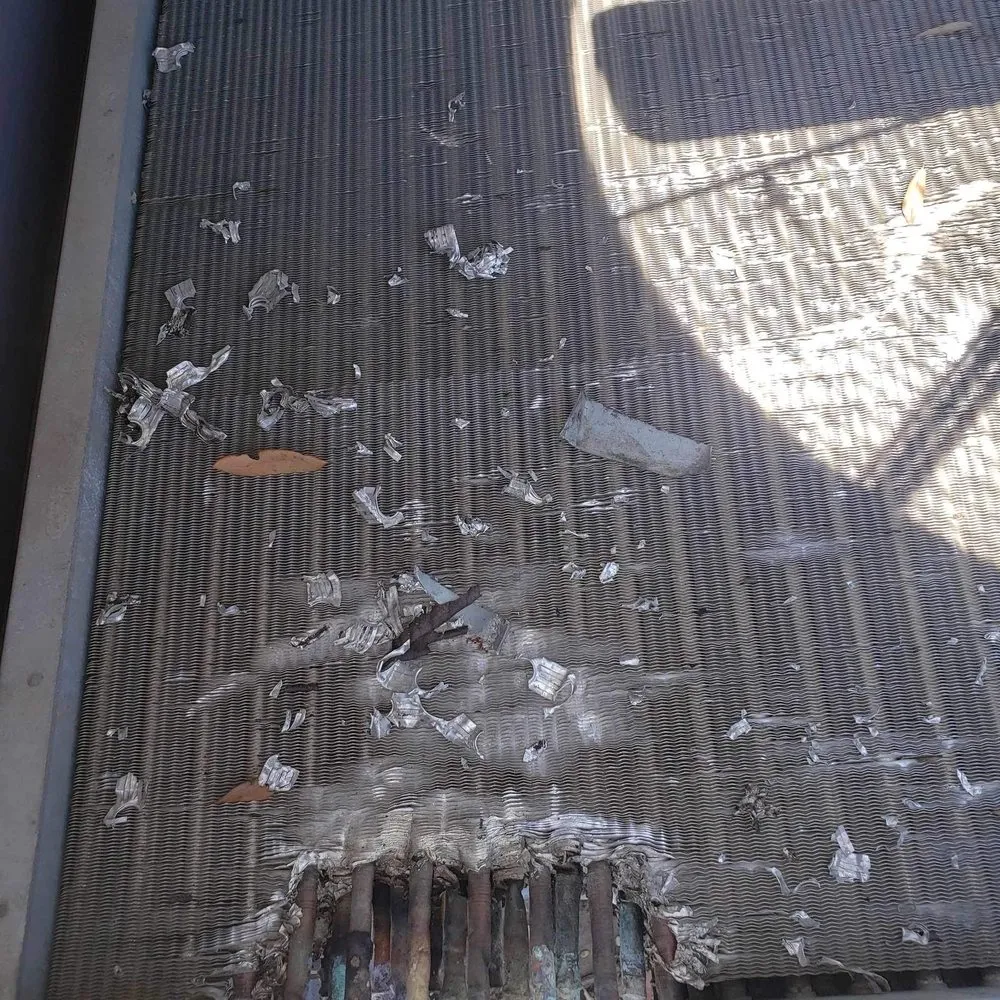 Slide of NTM Services