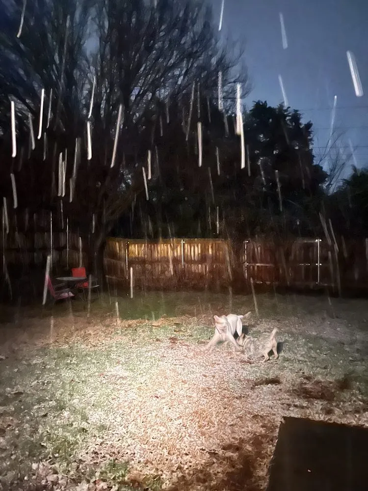 Slide of NTM Services