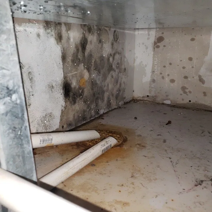 Slide of NTM Services