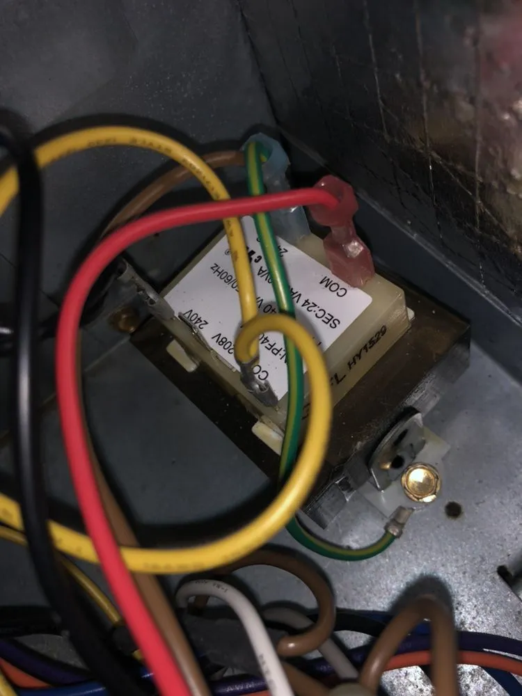 Slide of Nuri Creature Comforts