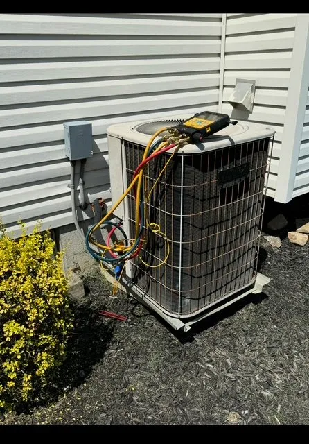 Slide of Nuts About Comfort