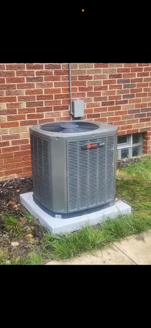 Slide of Nuts About Comfort