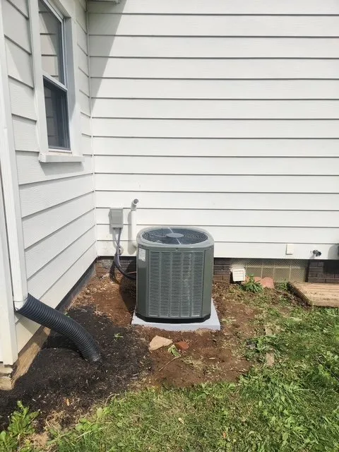 Slide of Nuts About Comfort