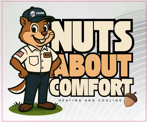 Nuts About Comfort
