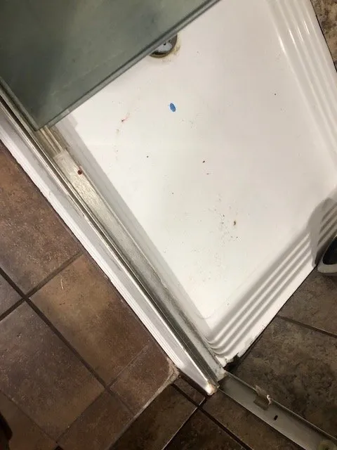 Slide of NW Sundance Services