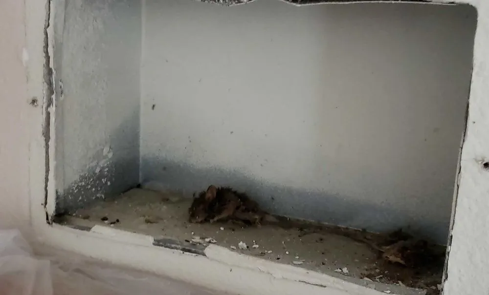 Slide of Oasis AC Repair