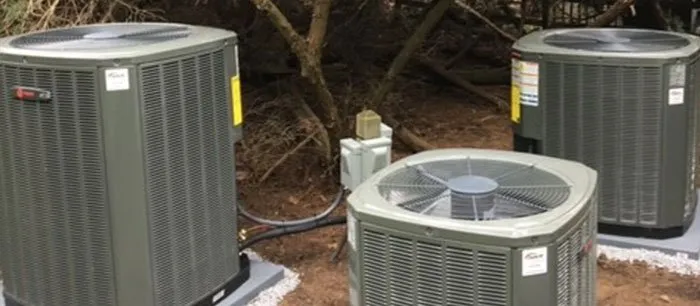 Slide of Objective-Beagle Team